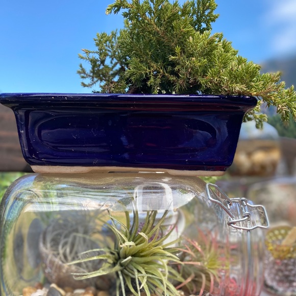 Meet the Posher Kasia - Picture 15 of 16